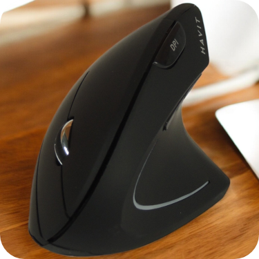 Mouse Havit Vertical