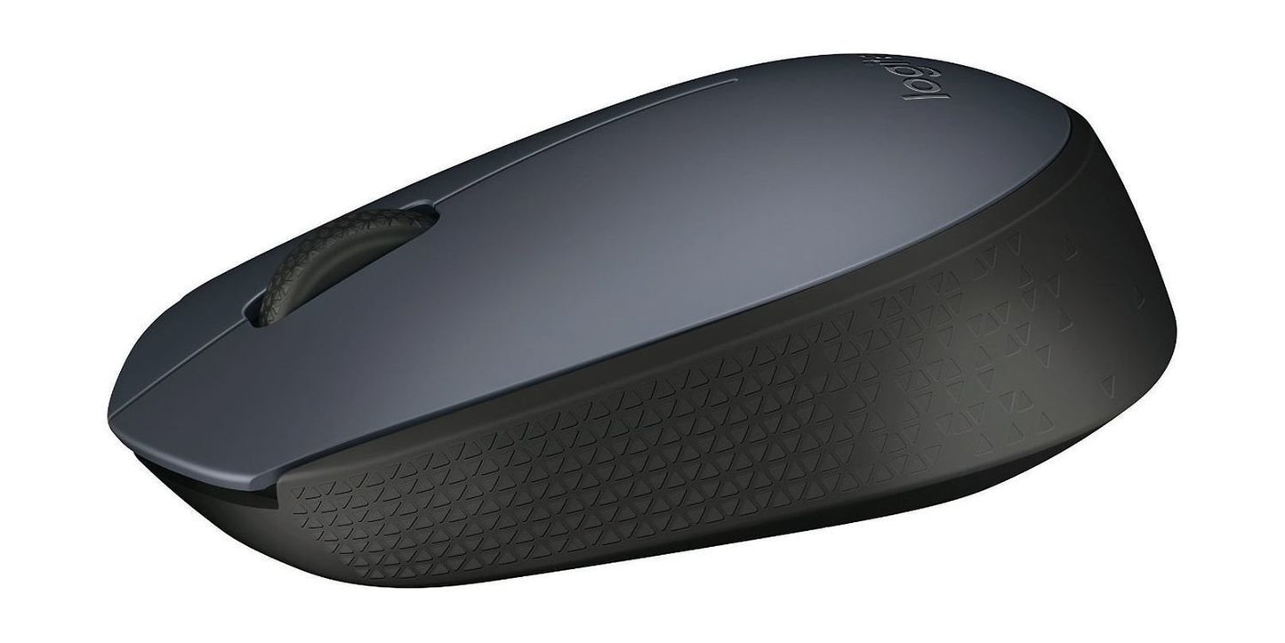 Mouse Logitech M170