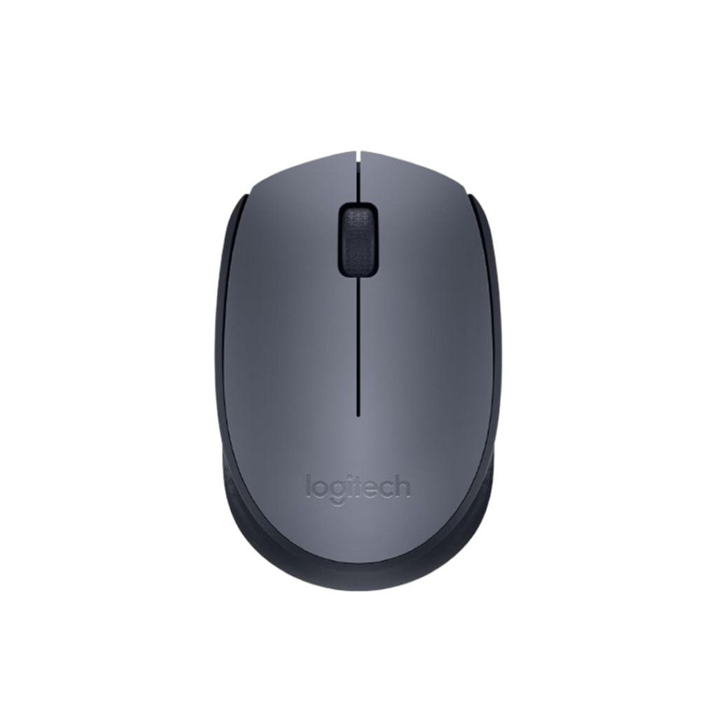 Mouse Logitech M170