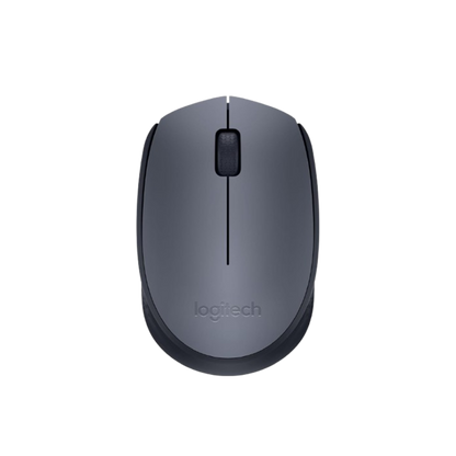 Mouse Logitech M170