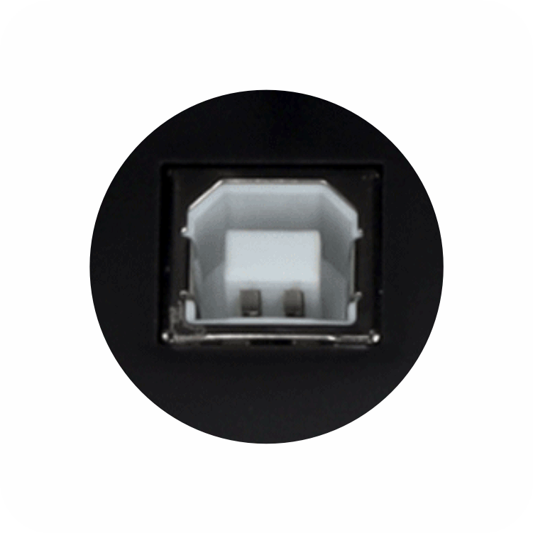 puerto conector USB de impresora termica